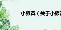 小寂寞(關于小寂寞簡介)