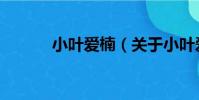 小葉愛楠(關于小葉愛楠簡介)