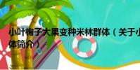 小葉栒子大果變種米林群體(關于小葉栒子大果變種米林群體簡介)