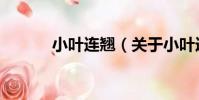 小葉連翹(關于小葉連翹簡介)