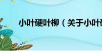 小葉硬葉柳(關于小葉硬葉柳簡介)