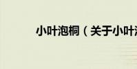 小葉泡桐(關于小葉泡桐簡介)