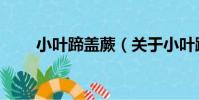 小葉蹄蓋蕨(關于小葉蹄蓋蕨簡介)