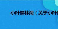 小葉崠林海(關于小葉崠林海簡介)