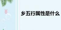 鄉五行屬性是什么(鄉五)