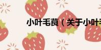 小葉毛茛(關于小葉毛茛簡介)