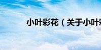 小葉彩花(關于小葉彩花簡介)