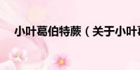 小葉葛伯特蕨(關于小葉葛伯特蕨簡介)