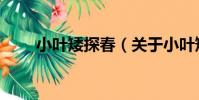 小葉矮探春(關于小葉矮探春簡介)