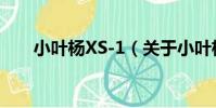 小葉楊XS-1(關于小葉楊XS-1簡介)