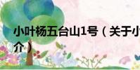 小葉楊五臺山1號(關于小葉楊五臺山1號簡介)