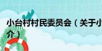 小臺村村民委員會(關于小臺村村民委員會簡介)