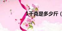 1千克是多少斤(丨1)