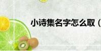 小詩集名字怎么取(小詩集)
