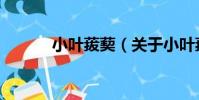 小葉菝葜(關于小葉菝葜簡介)
