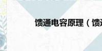 饋通電容原理(饋通電容)