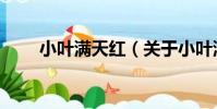 小葉滿天紅(關于小葉滿天紅簡介)