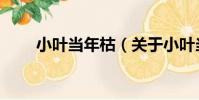 小葉當年枯(關于小葉當年枯簡介)