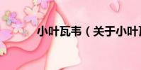小葉瓦韋(關于小葉瓦韋簡介)