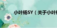 小葉楊SY(關于小葉楊SY簡介)