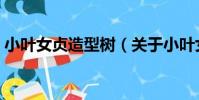 小葉女貞造型樹(關于小葉女貞造型樹簡介)