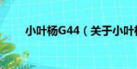 小葉楊G44(關于小葉楊G44簡介)