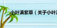 小葉滇紫草(關于小葉滇紫草簡介)