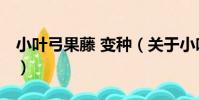 小葉弓果藤 變種(關于小葉弓果藤 變種簡介)