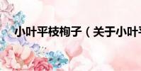 小葉平枝栒子(關于小葉平枝栒子簡介)