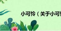 小可憐(關于小可憐簡介)