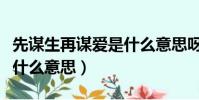 先謀生再謀愛是什么意思呀(先謀生再謀愛是什么意思)
