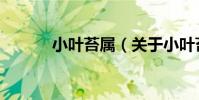 小葉苔屬(關于小葉苔屬簡介)