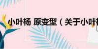 小葉楊 原變型(關于小葉楊 原變型簡介)