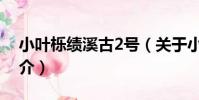 小葉櫟績溪古2號(關于小葉櫟績溪古2號簡介)