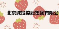 北京城投控股集團有限公司總經理 吳斌