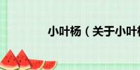 小葉楊(關于小葉楊簡介)