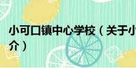 小可口鎮中心學校(關于小可口鎮中心學校簡介)
