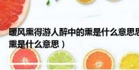 暖風熏得游人醉中的熏是什么意思思(暖風熏得游人醉中的熏是什么意思)