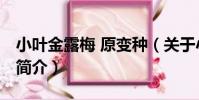 小葉金露梅 原變種(關于小葉金露梅 原變種簡介)