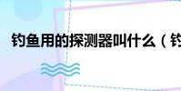 釣魚用的探測器叫什么(釣魚用的探測器)
