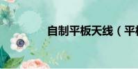自制平板天線(平板天線)