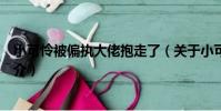 小可憐被偏執大佬抱走了(關于小可憐被偏執大佬抱走了簡介)