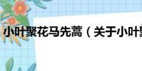 小葉聚花馬先蒿(關于小葉聚花馬先蒿簡介)