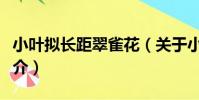 小葉擬長距翠雀花(關于小葉擬長距翠雀花簡介)