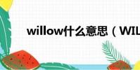 willow什么意思(WILL什么意思)