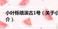 小葉櫟績溪古1號(關于小葉櫟績溪古1號簡介)