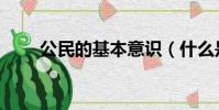 公民的基本意識(什么是公民意識)