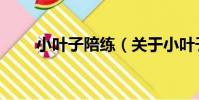 小葉子陪練(關于小葉子陪練簡介)