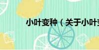 小葉變種(關于小葉變種簡介)
