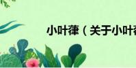 小葉葎(關于小葉葎簡介)